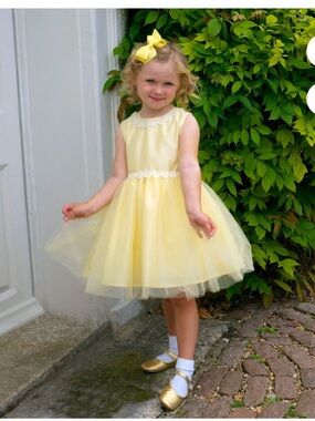 NWT RACHEL RILEY DAISY TULLE DRESS